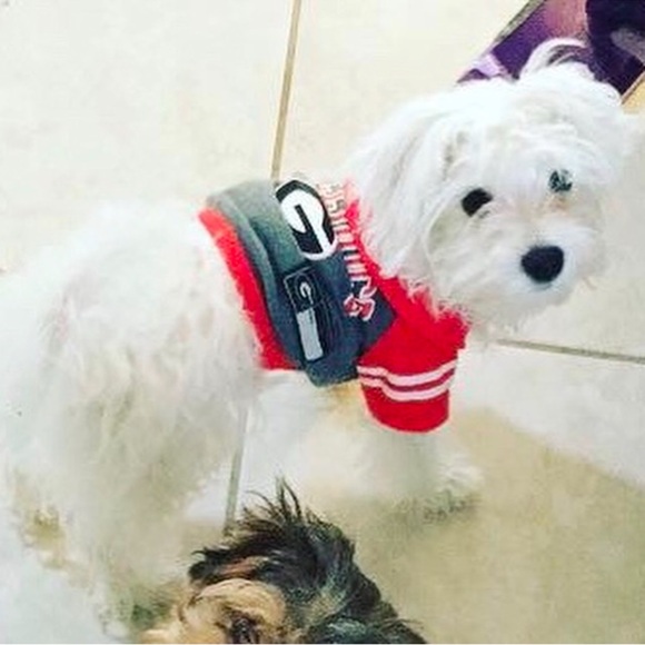 Meet your Posher, Rolando - Picture 1 of 1